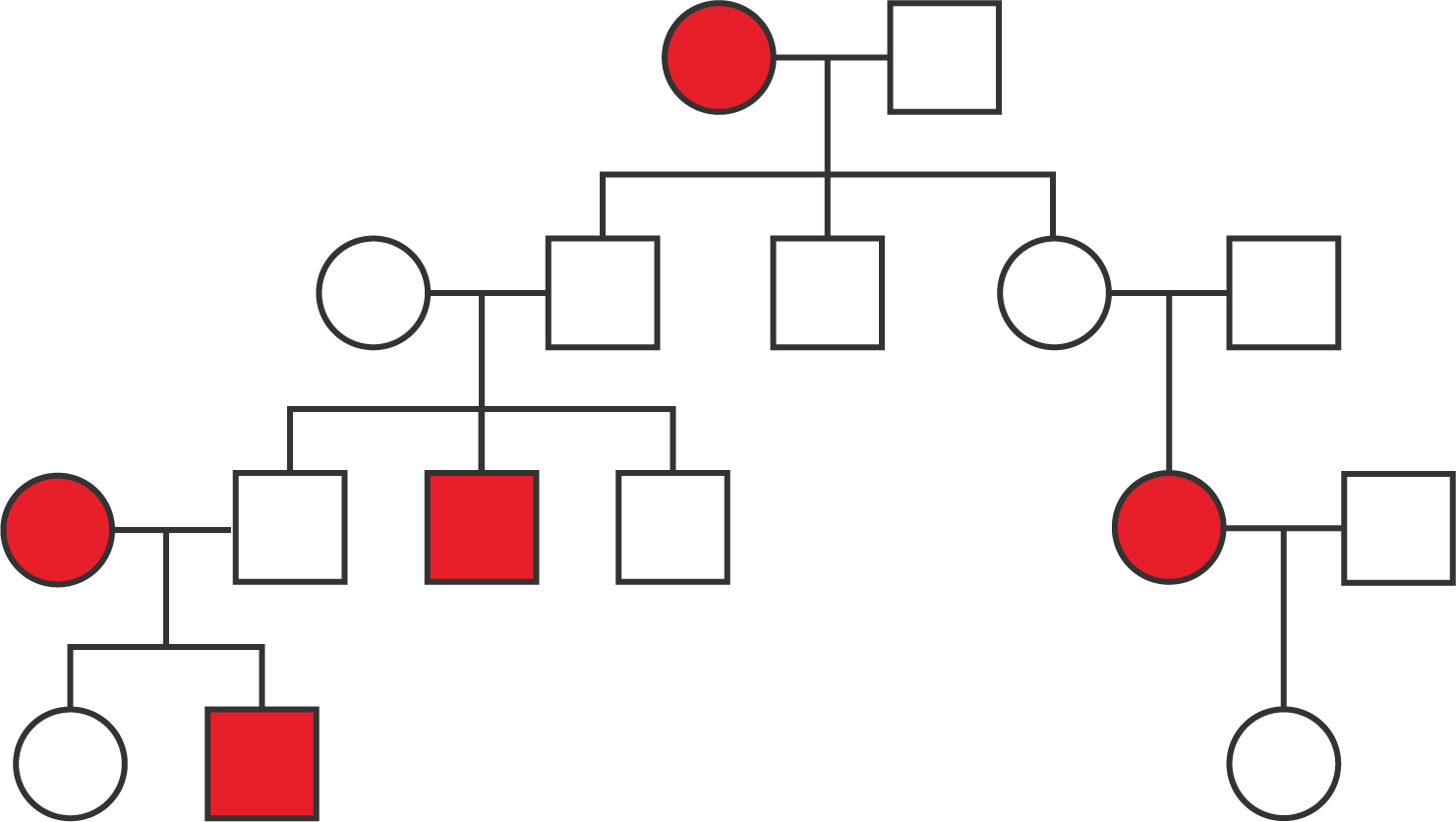 A pedigree with four generations.